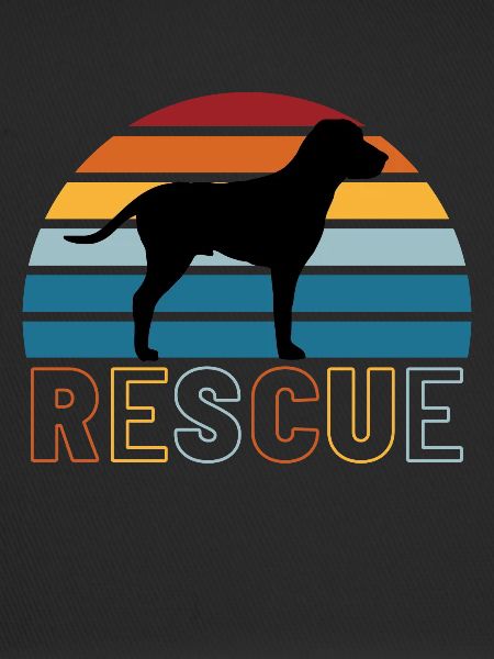 Rescue Dog