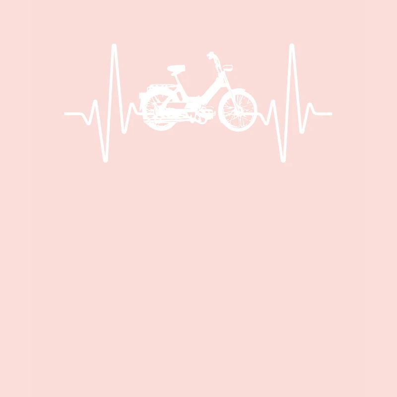 DDR Mobylette Oldtimer Roller Mofa Scooter 2 Takter