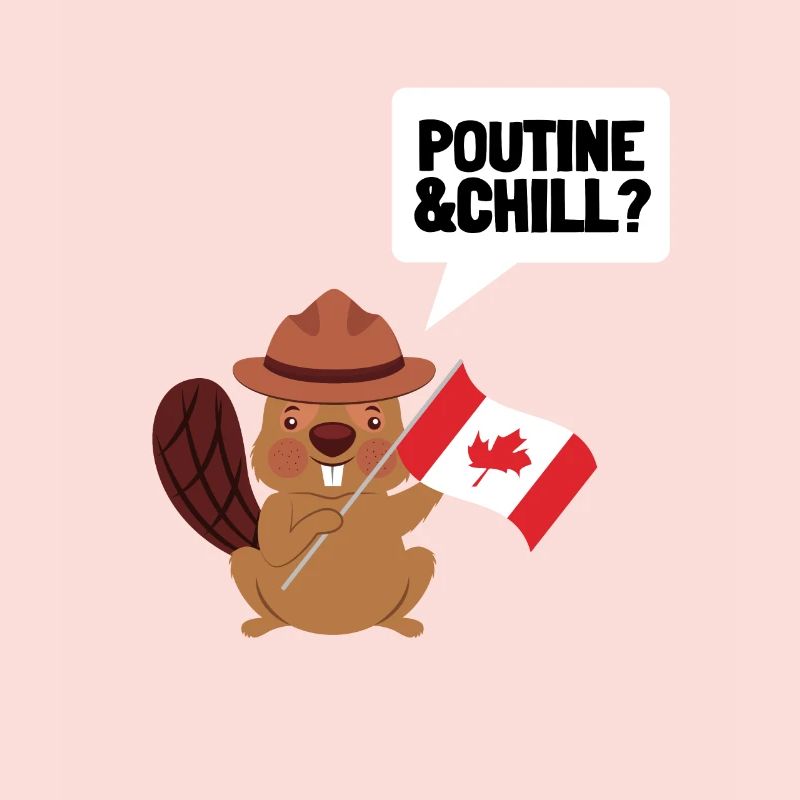 Cheese Curds Gravy Mix Canada Poutine