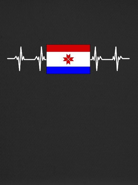 Russian Flag - Mordovia