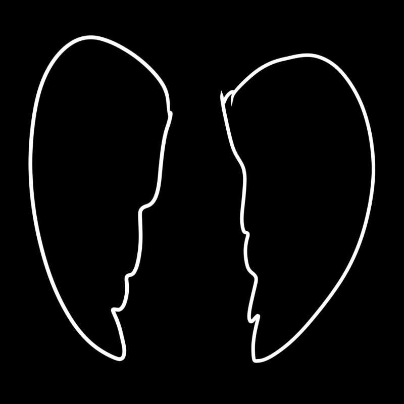 Wings Angel Icon