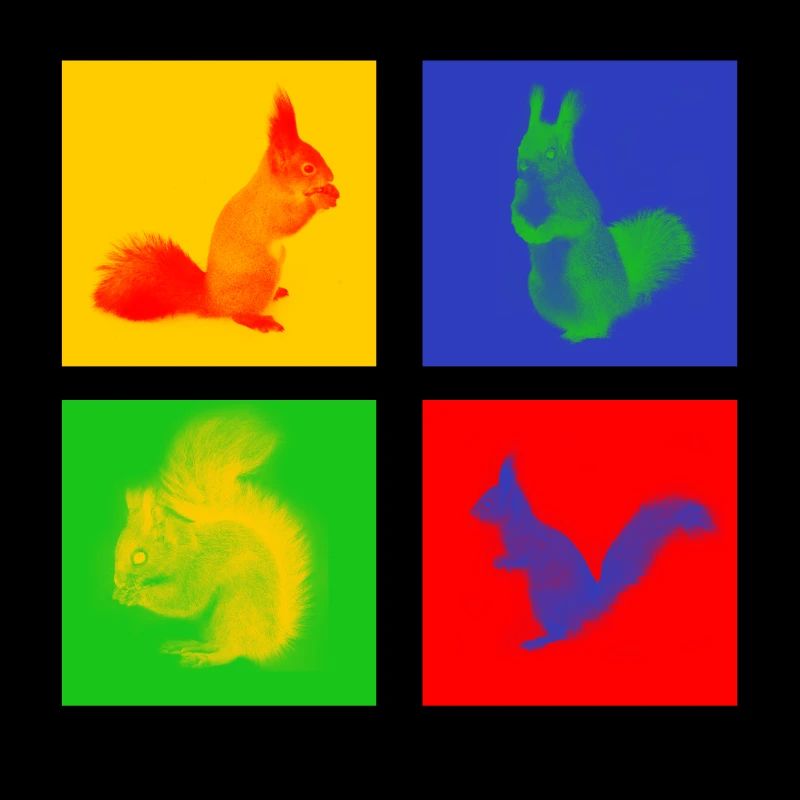 Eichhörnchen
