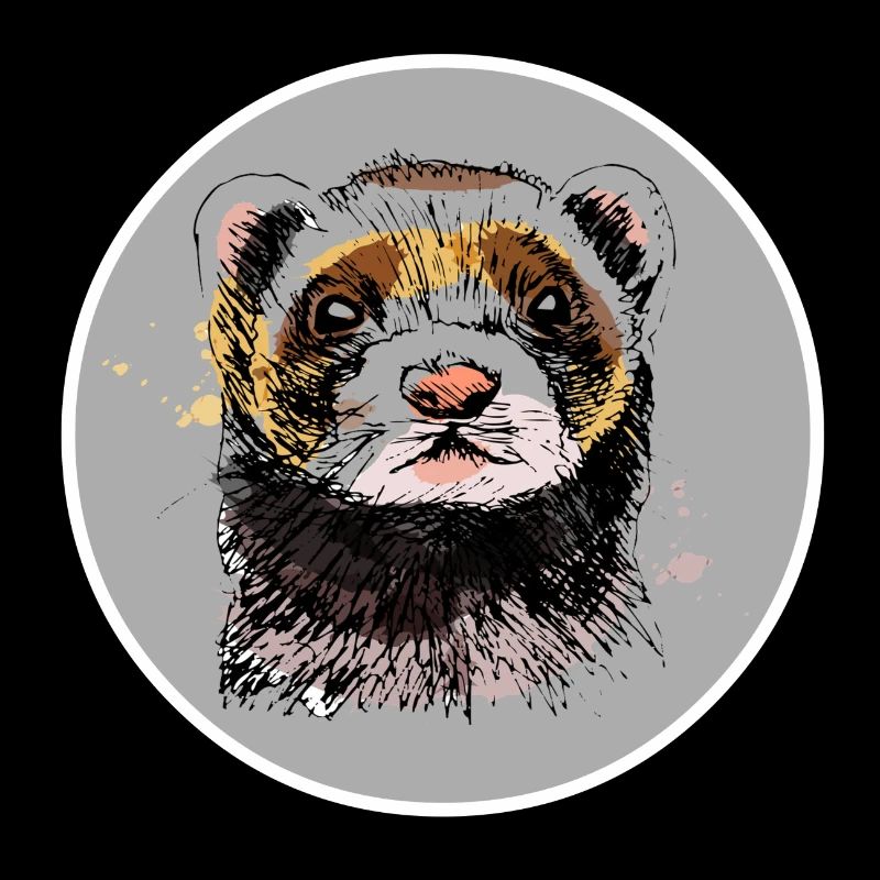 Furet