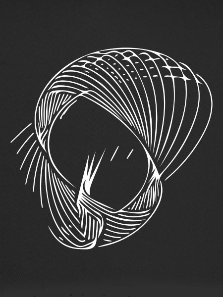 Geometric circle lines