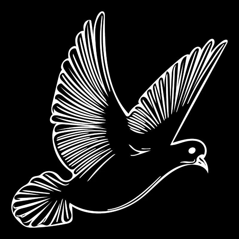 Pigeon volant sur de larges ailes