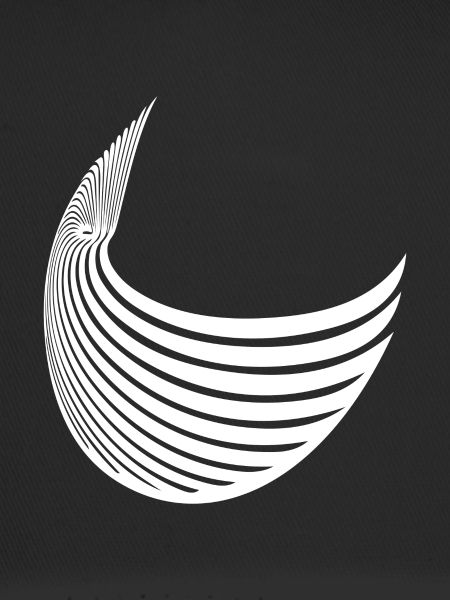 Geometric stripe wing