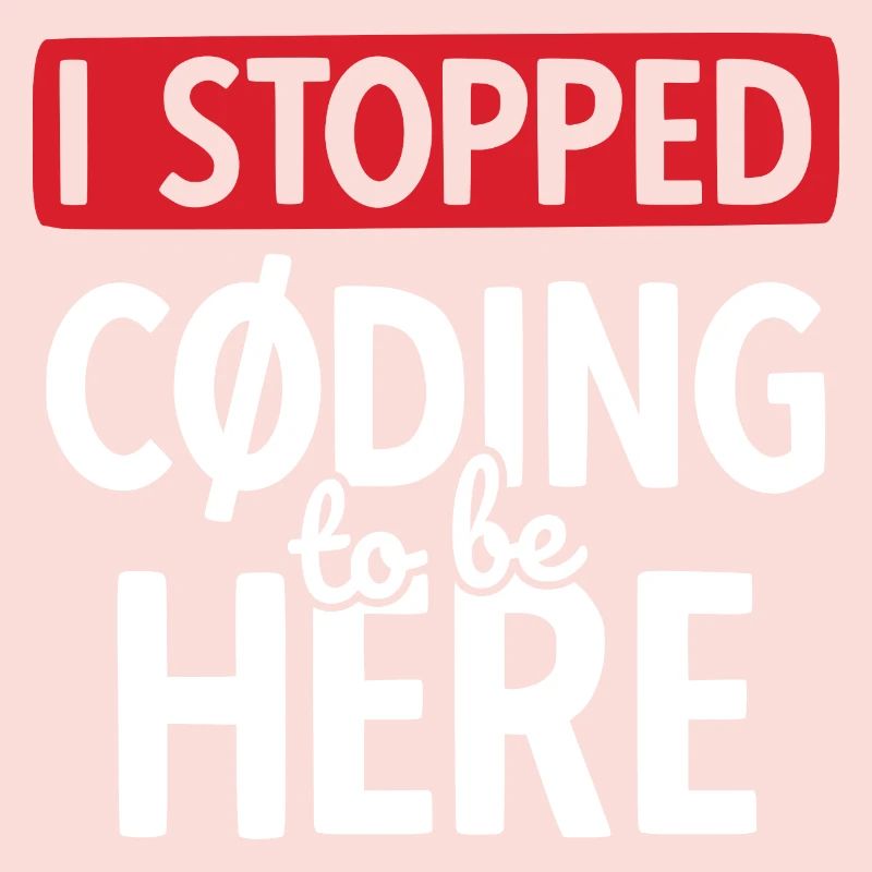 Software Ingenieur Informatiker Programmierer