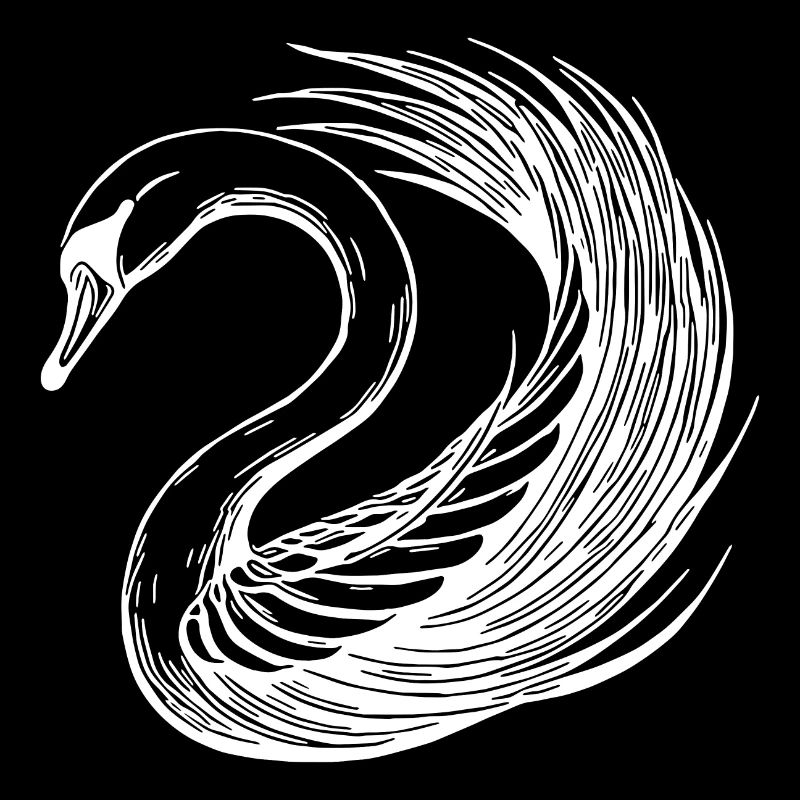 Cygne élégant orné d’ailes