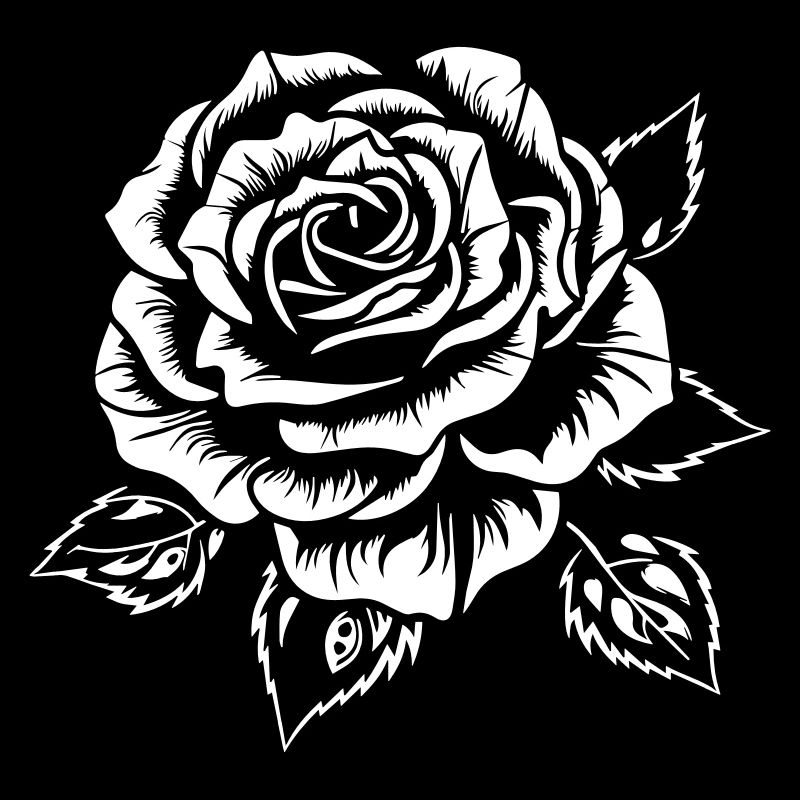 Rose blanche