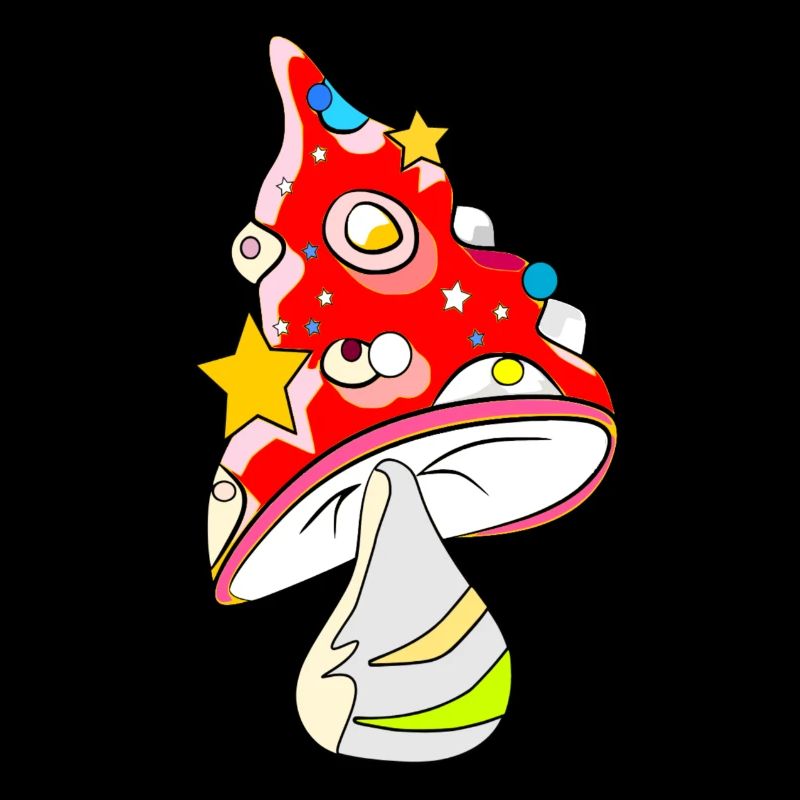 Red mushroom - fly agaric