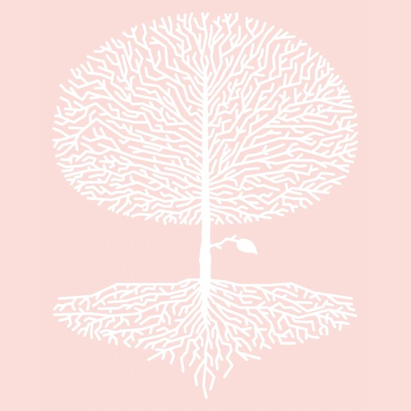 Deciduous Tree Crown Forest Oak Beech Nature Linden Branches