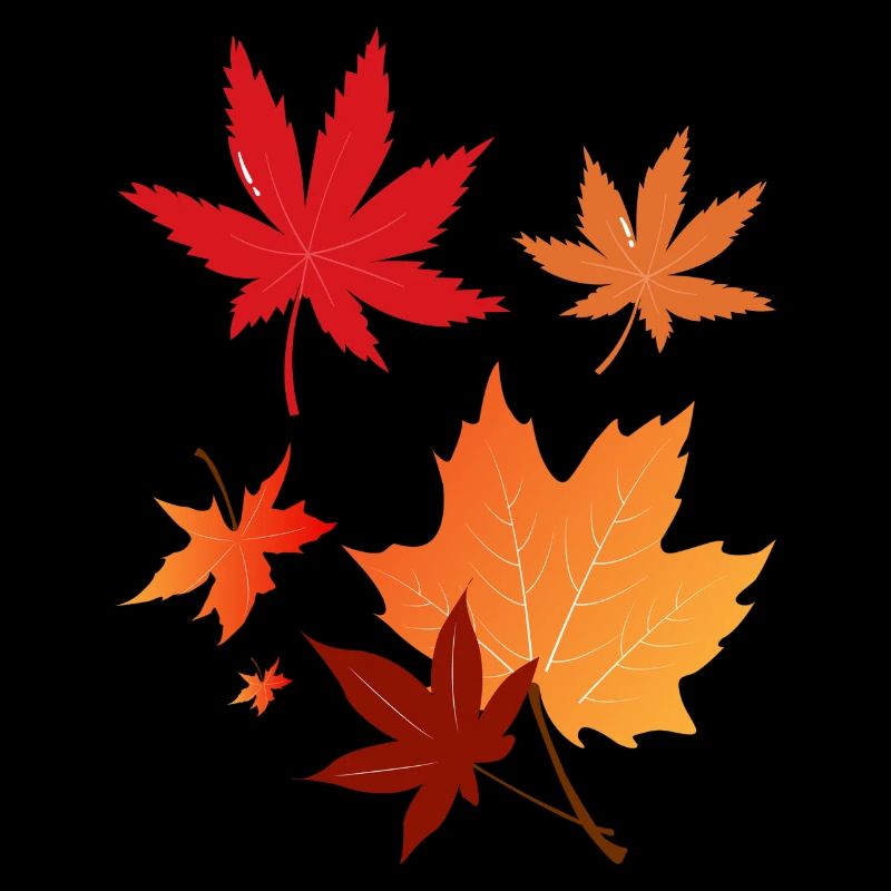 feuilles d’automne colorées
