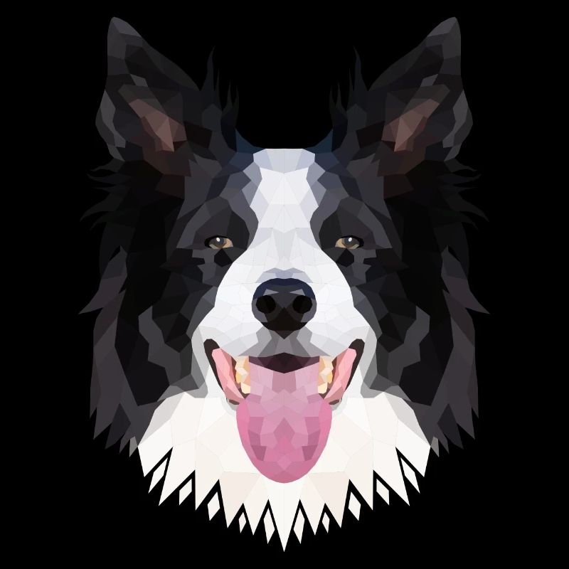 Polyart Border Collie