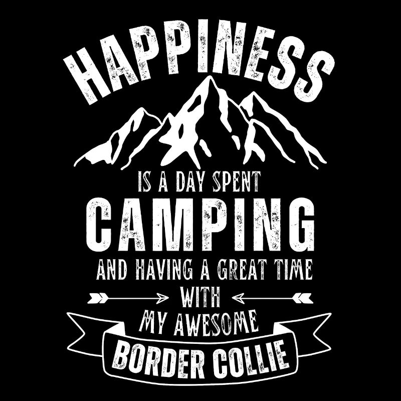 Camping et Border Collie
