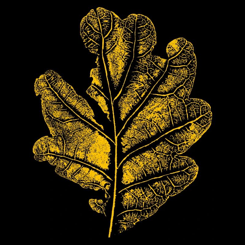 Feuille de chêne / feuille de chêne