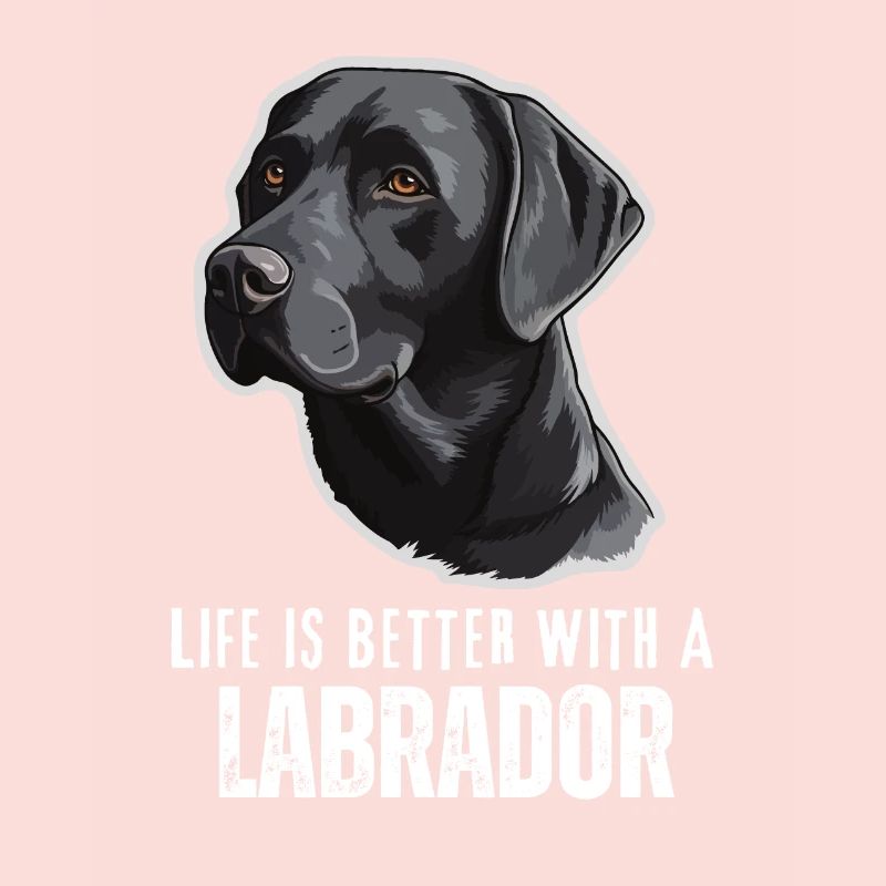 Labrador