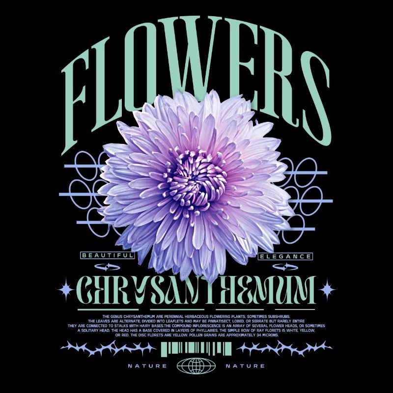Chrysanthème Chrysanthèmes