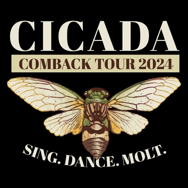 Cicada Brood Swarm Cicada Comeback Tour 2024