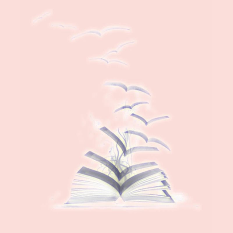 LEARNING BOOKS