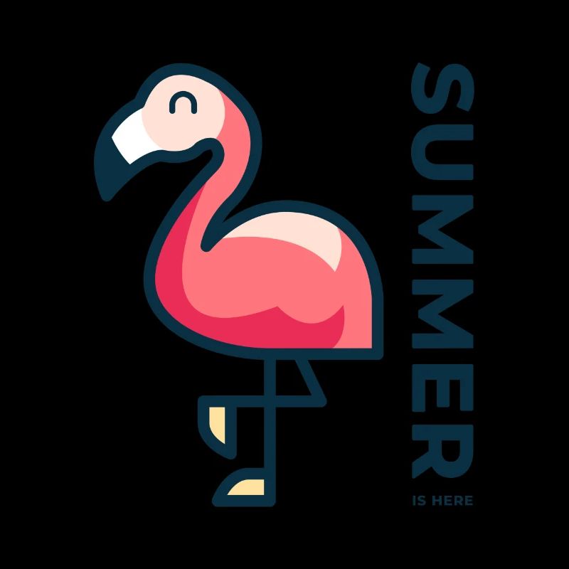 Summer again - Flamingo - Gift