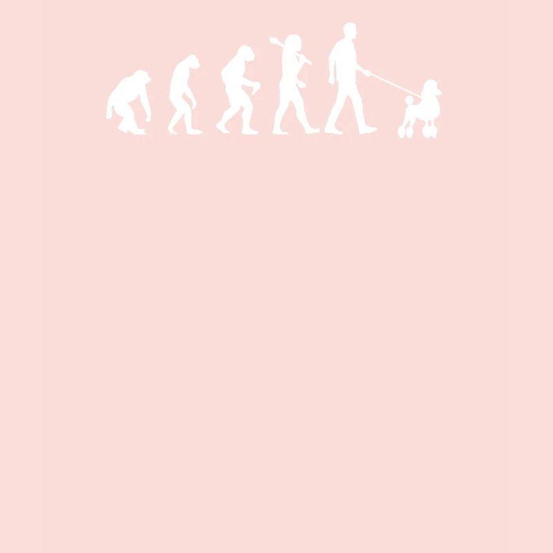 Evolution des Caniches