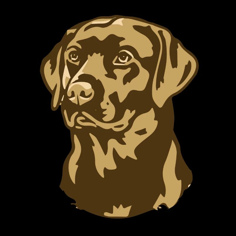 Evolution des Golden Retrievers