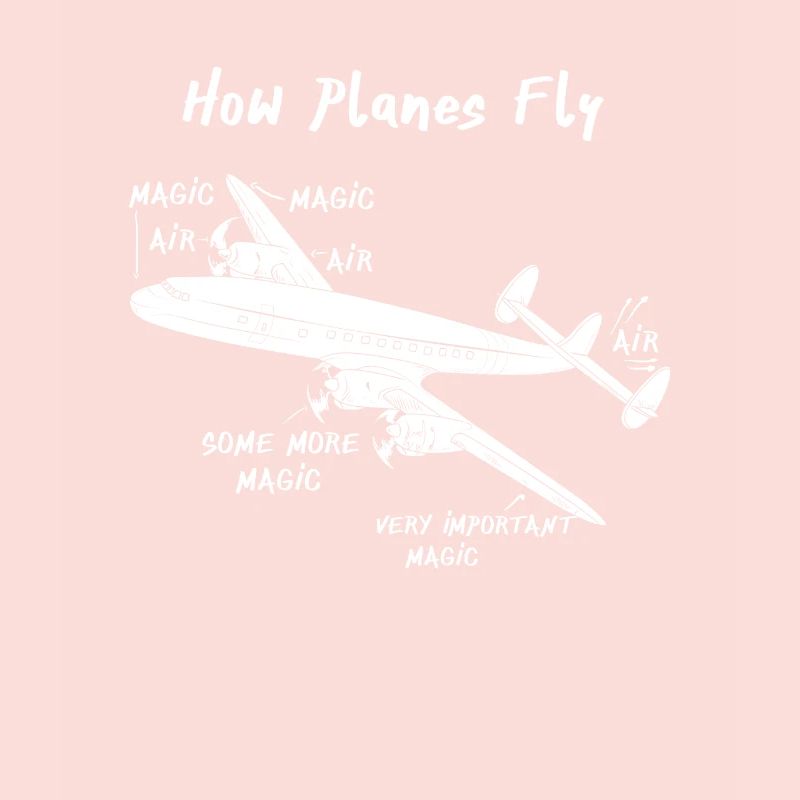 How planes fly