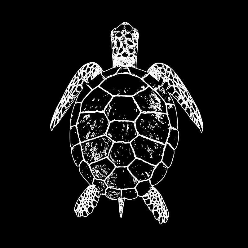Schildkröte