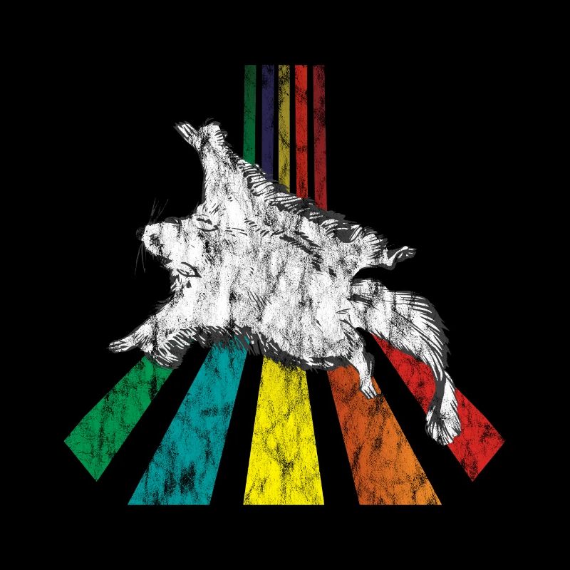 Rainbow flying squiggles distressed look