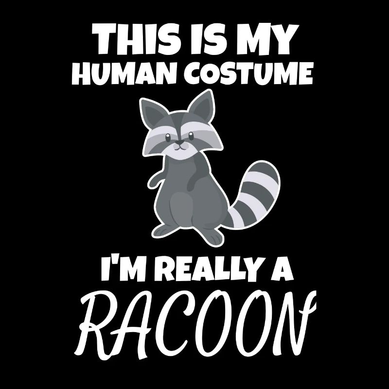 racoon