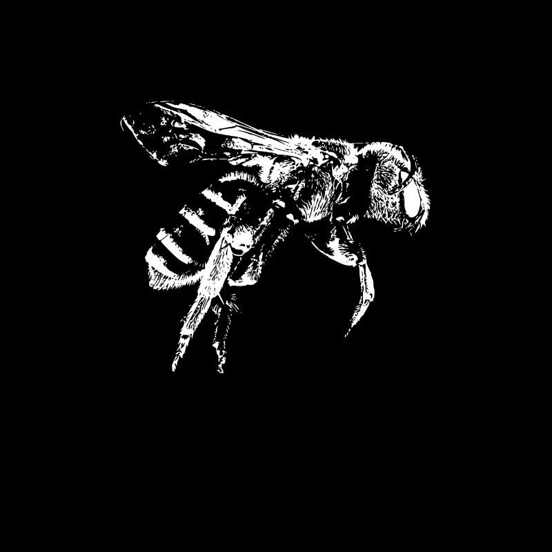 Flying bee honeybee drawing gift