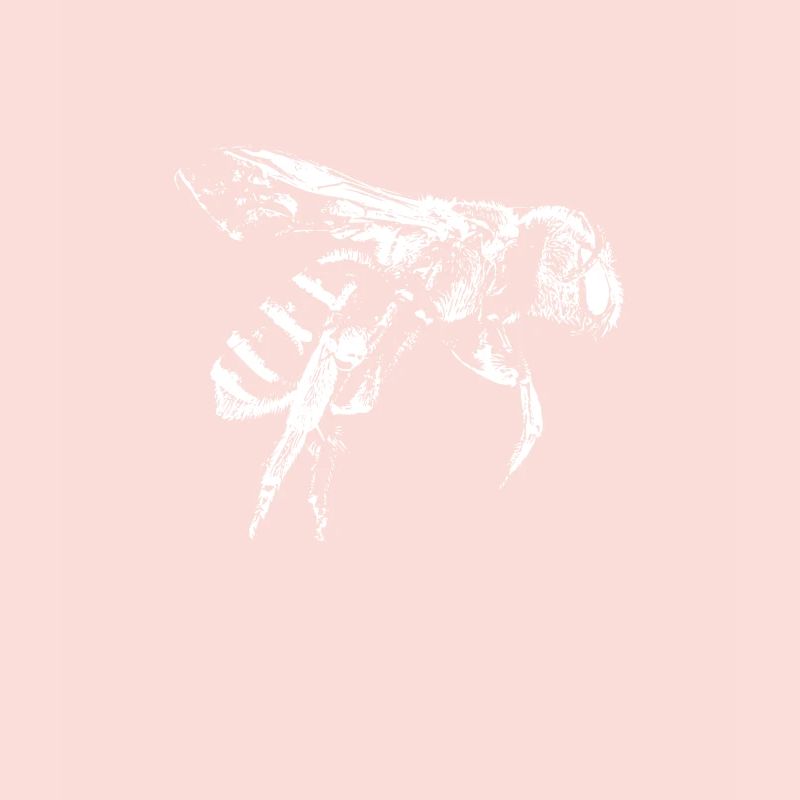 Flying bee honeybee drawing gift