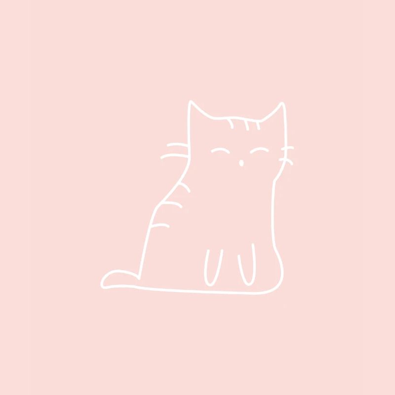 Chat mignon