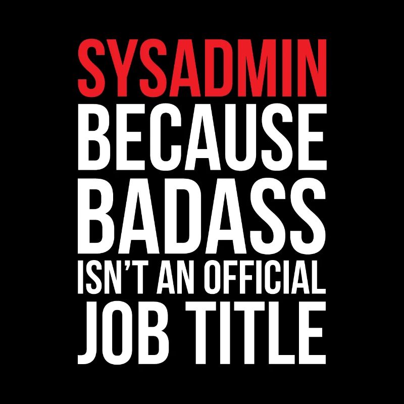 Administrateur système, informaticien, dire, drôle