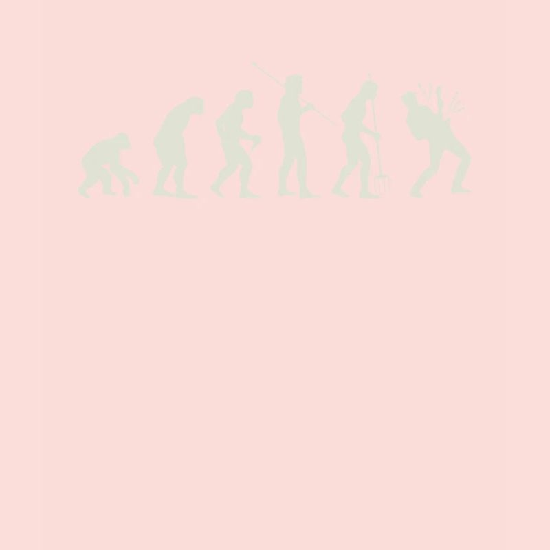 Guitare Evolution