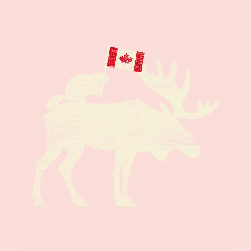 Canada drapeau canadien