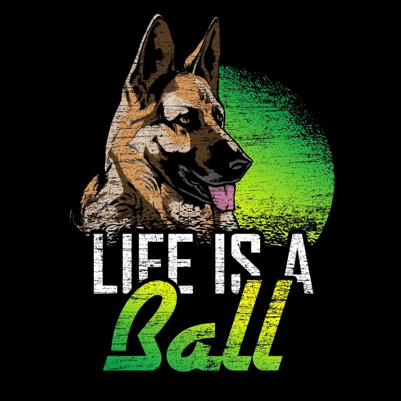 German Shepherd Dog Playing