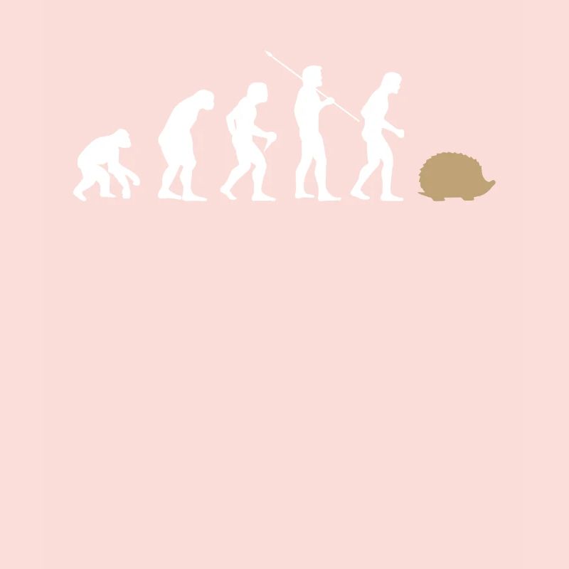 Évolution hérisson