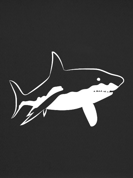 Shark fish
