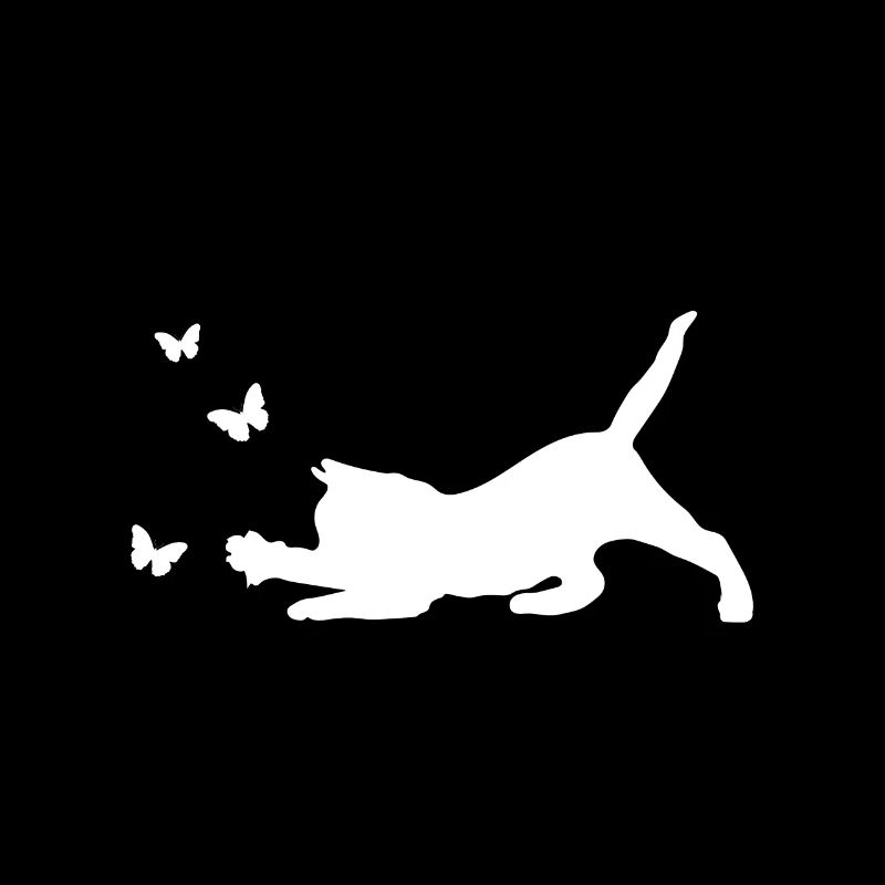 Cat butterfly