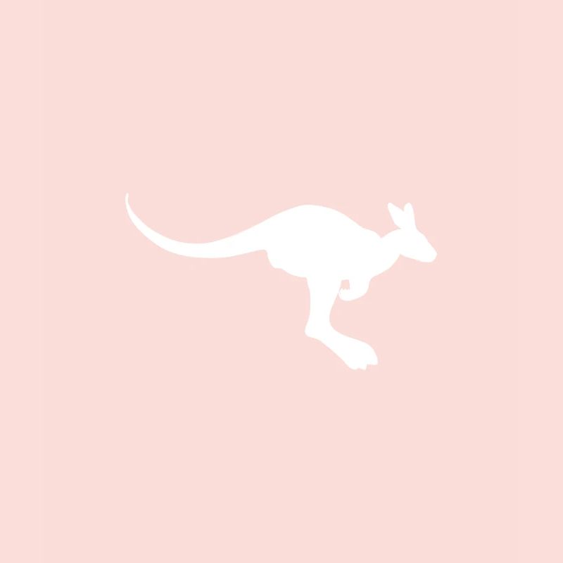 Känguru Australien kangaroo roo wallaby outback