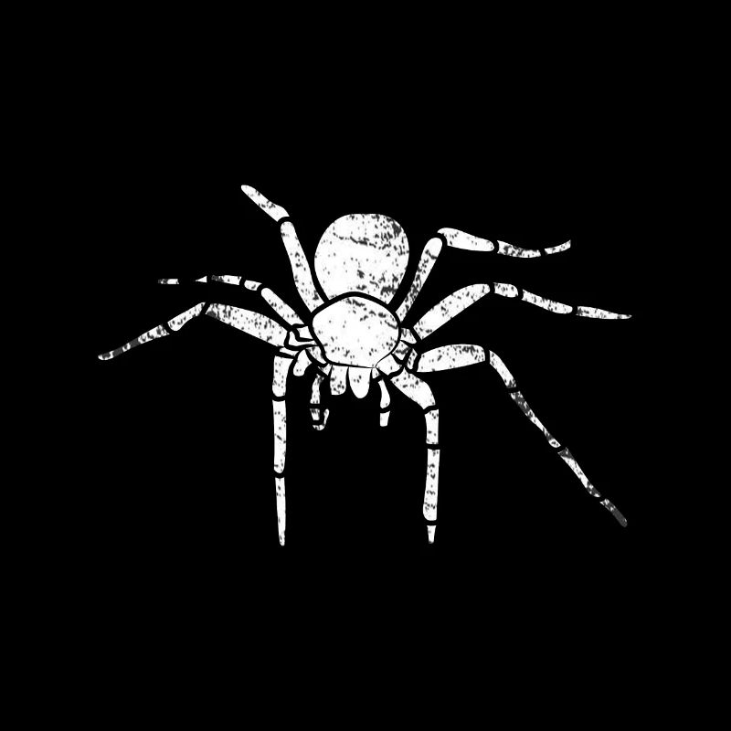 spider