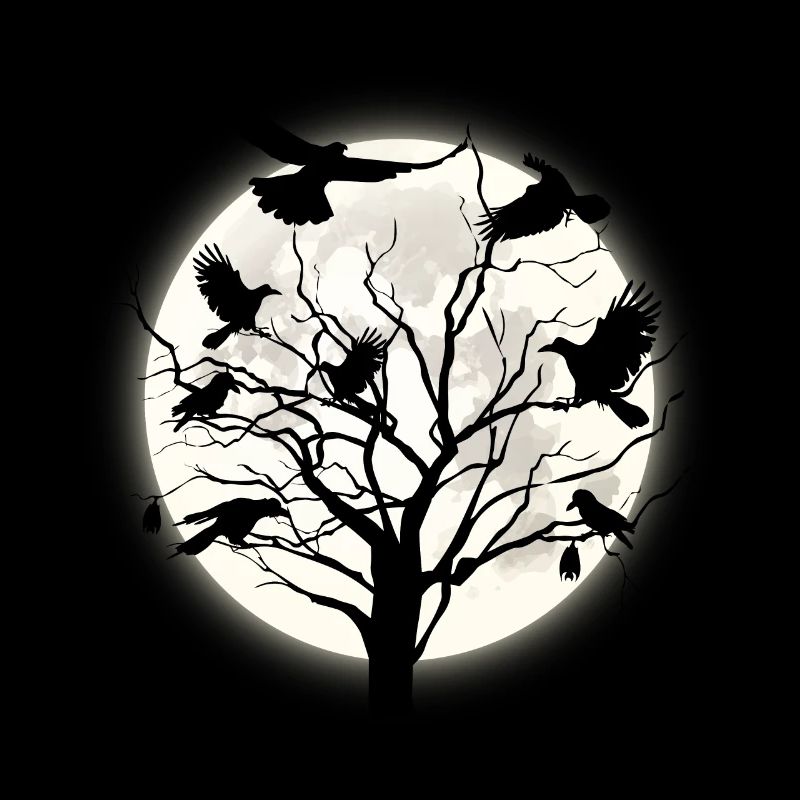 Raven night