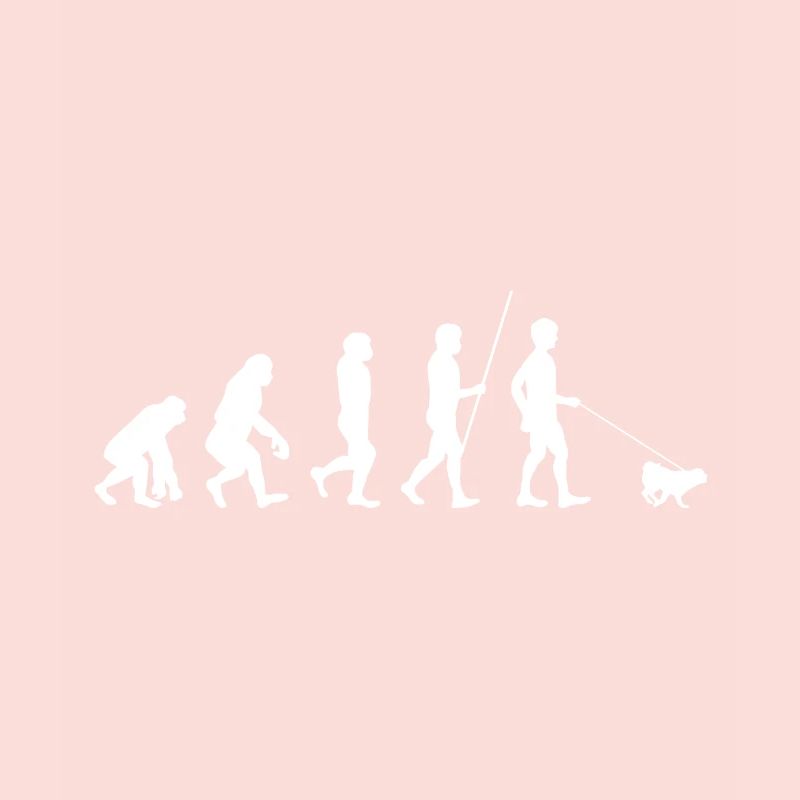 Evolution Pug