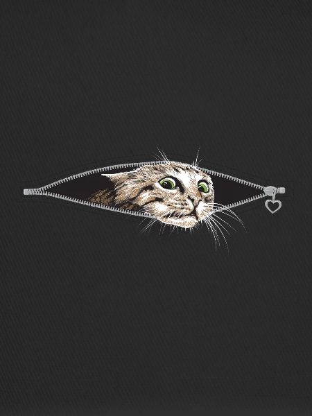Chat Chats