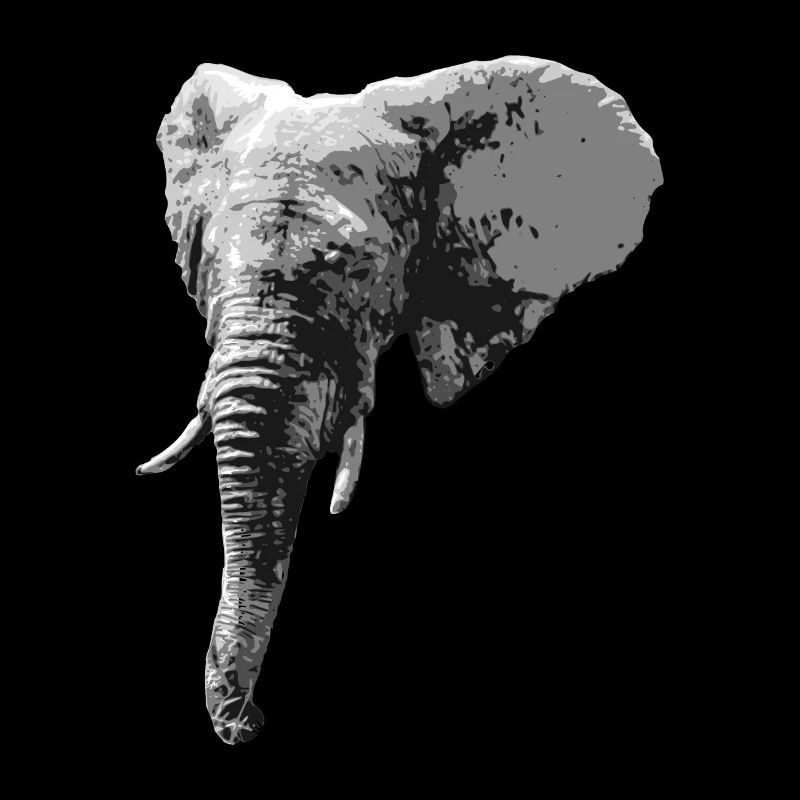 Elephant Head Animal Proboscis Elephant