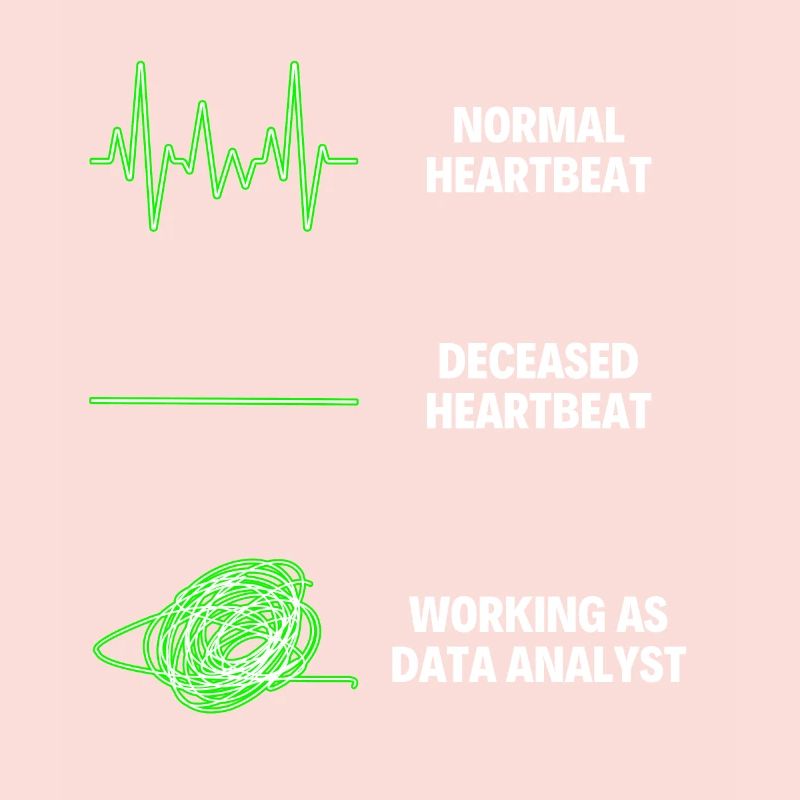 Data Analyst Data Analytics Worker Web Developer