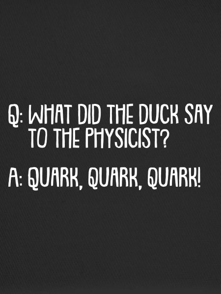Physik Physiker