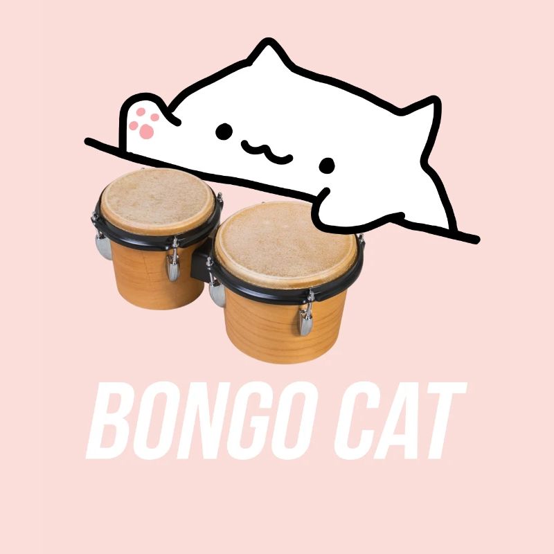 chat bongo