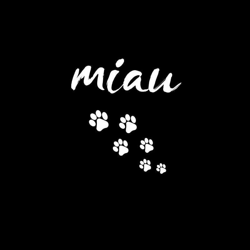 Miaou pattes chat chaton mignon
